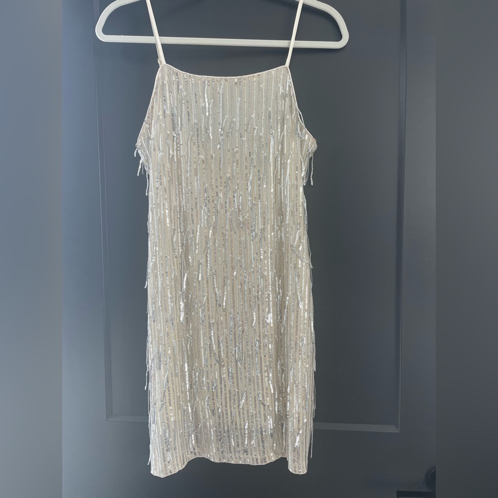 Sequin Fringe Dress